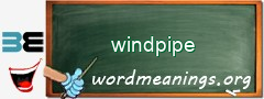 WordMeaning blackboard for windpipe